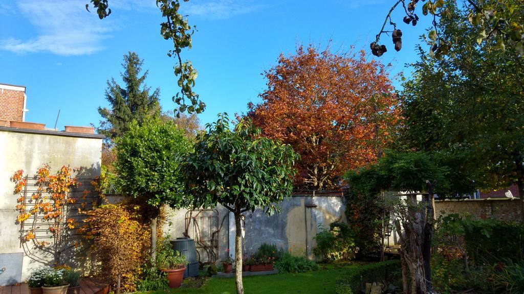 Exterlaer 4*